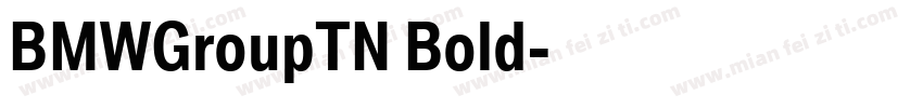 BMWGroupTN Bold字体转换
